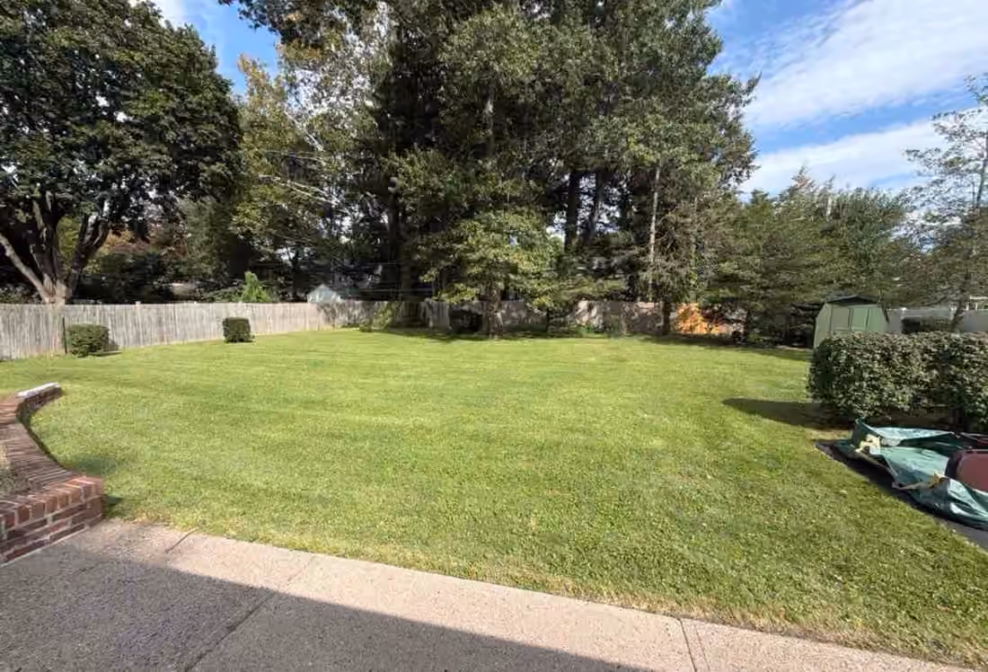 Wide mowed back lawn running out to a stockade fence and a line of mature trees