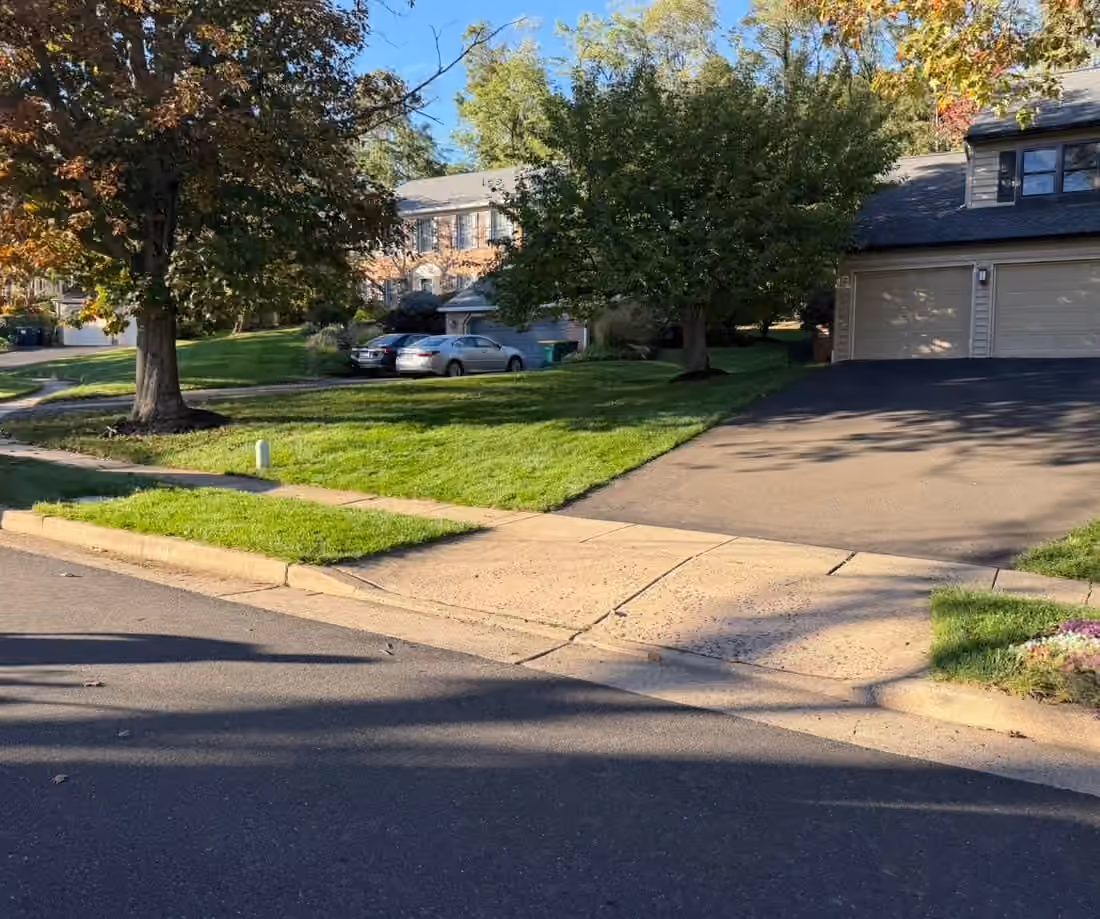 Lawn beside the driveway and along the curb clear of leaves after the cleanup