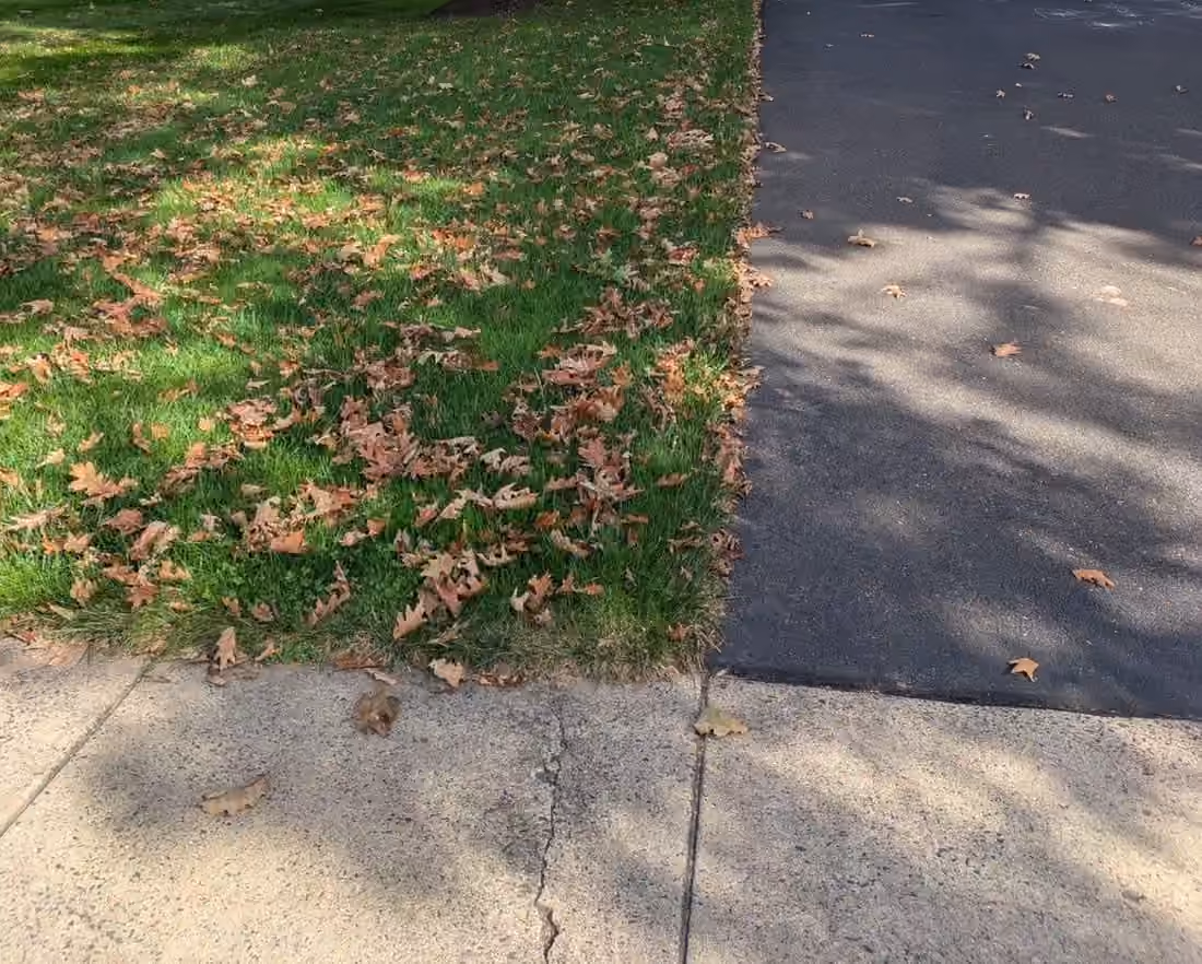 Leaves piled along the edge of a lawn where it meets the driveway and sidewalk