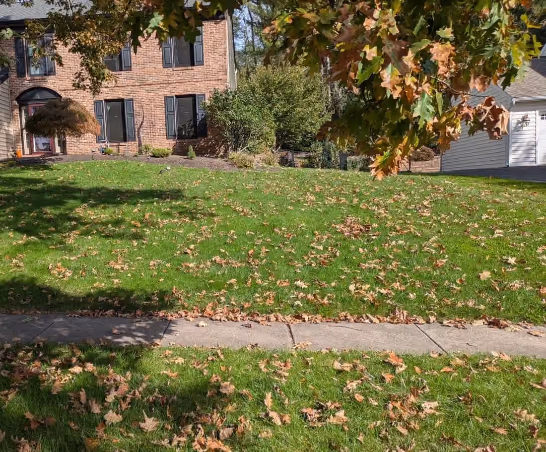 Brown leaves scattered over a sloped front lawn in front of a brick house