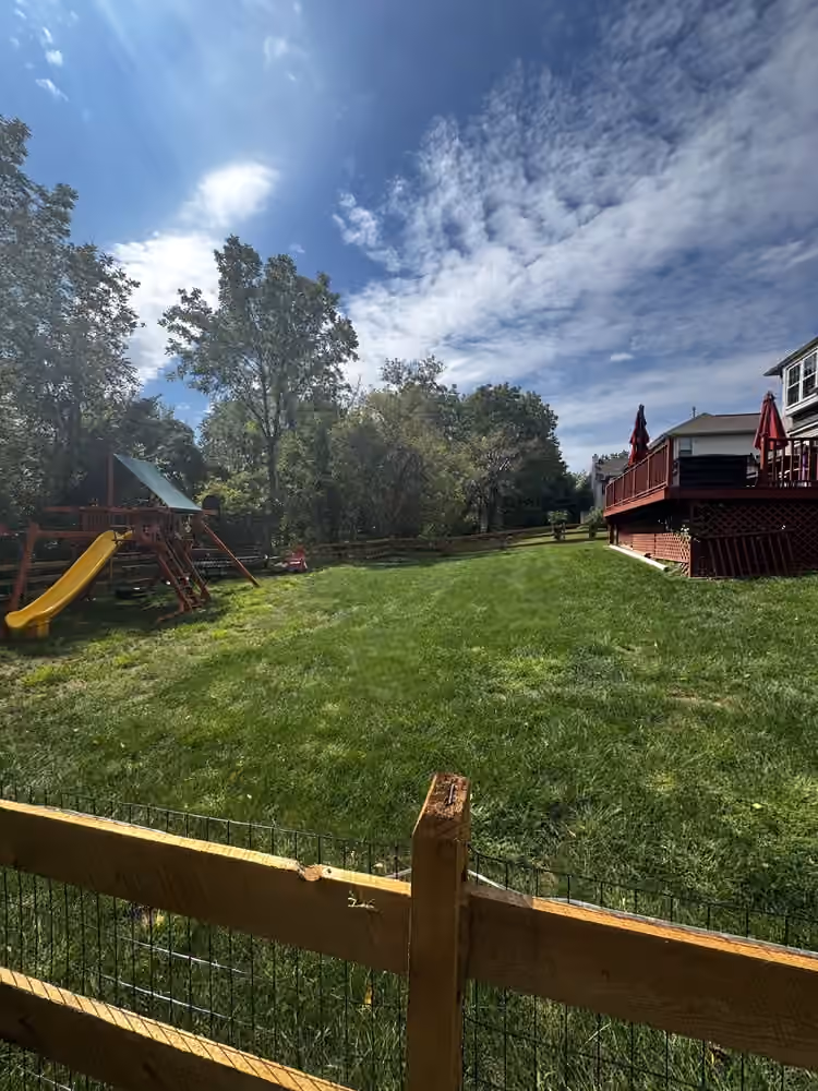 Freshly mowed back lawn inside a split rail fence