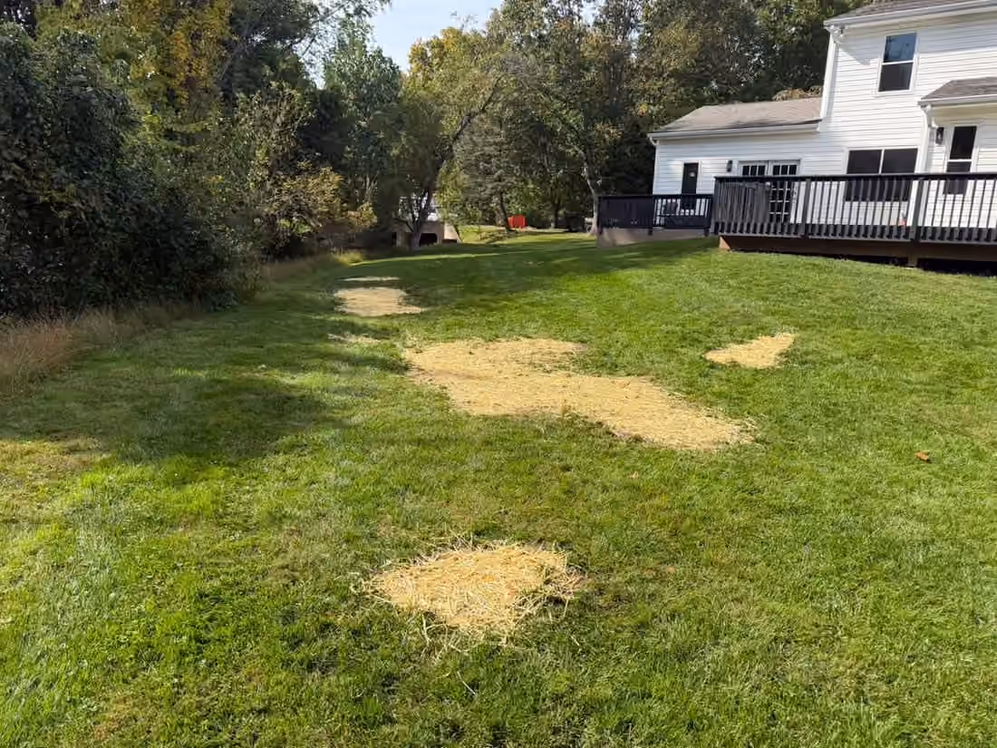 Patches of straw spread over bare spots in a back lawn beside a raised deck
