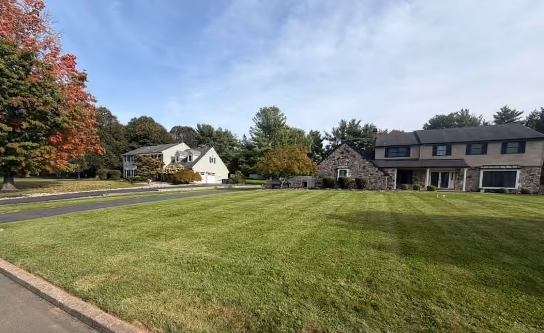 The same striped front lawn from the curb, with the stone house and a red maple beyond